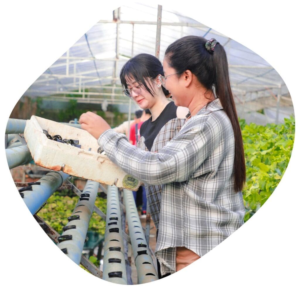 Two young women stand in a greenhouse in Battambang, Cambodia holding a box of seedlings.