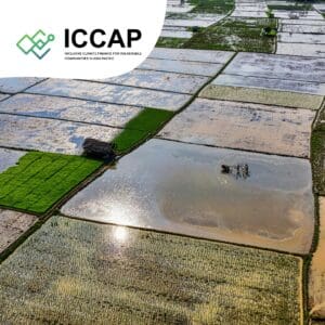 ICCAP is Inclusive and Bankable Climate Solutions for Communities in Cambodia. Photo by Pexels