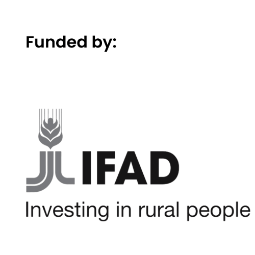 Logo of IFAD Investing in rural people
