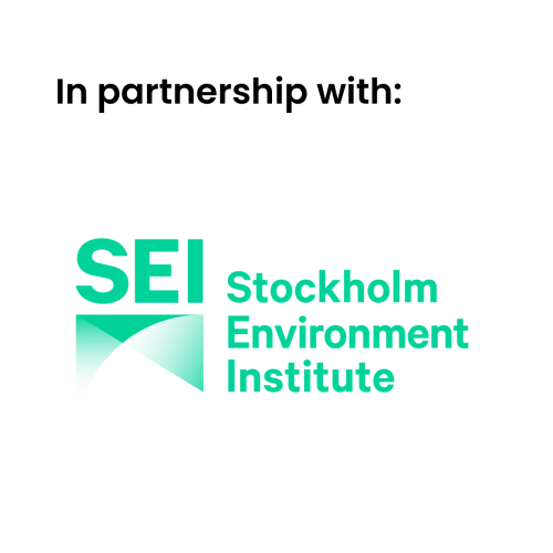 SEI (Stockholm Environment Institute) logo