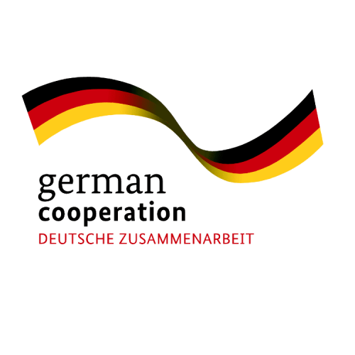 GEMGIZ logo