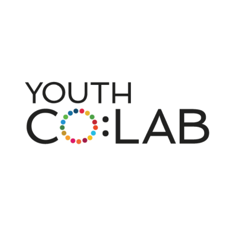 Partner Logos - Youth Co-Lab