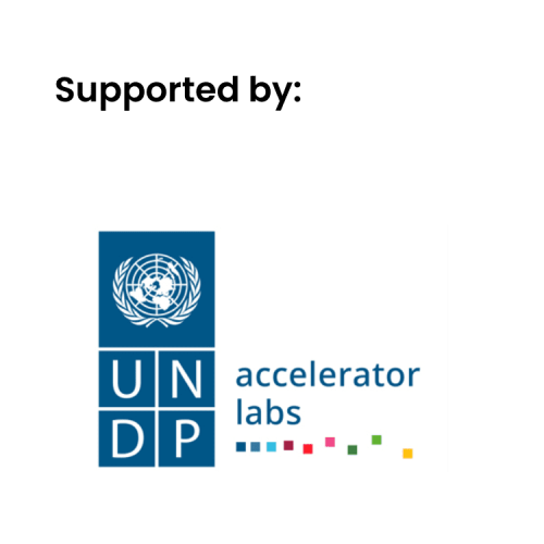 UNDP accelerator
