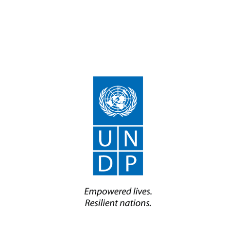UNDP