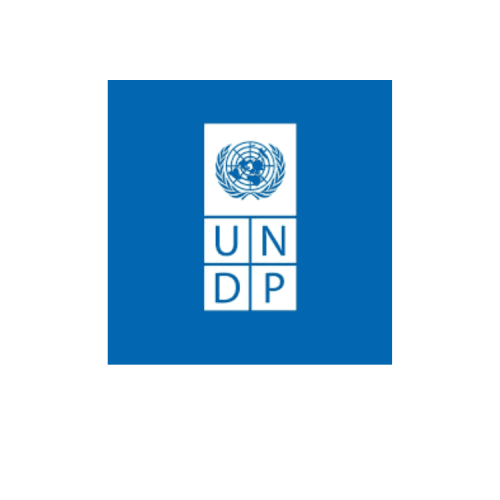 undp logo